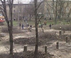 В Донецке за одно срубленное дают три посаженных дерева 