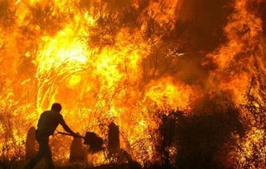 Засуха и ветер в Донецке провоцируют все больше пожаров