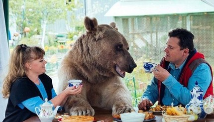 Иностранцы в шоке от семьи русских, которые воспитывают медведя
