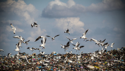 Как работает мусорный полигон под Киевом