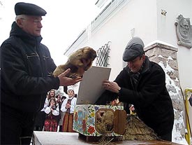 Львовские сурки Миша и Маша пообещали тепло с 8 марта