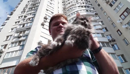 В Киеве кошка выпала с 24-го этажа и чудом выжила