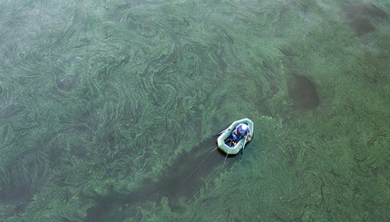 Удивительный снимок цветущей воды Днепра