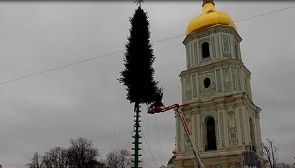В Киеве начали устанавливать главную новогоднюю елку страны
