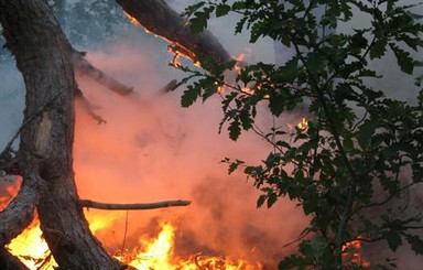 С бушующим пожаром в Ялте борются уже 1000 человек