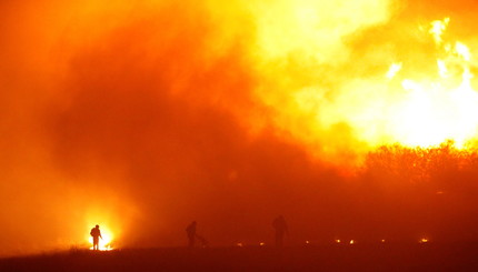 Паника и слезы: лесные пожары в Чили уничтожают все на своем пути
