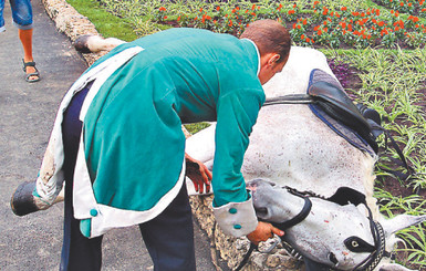 В Одессе на открытии памятника Суворову лошадь упала в обморок 