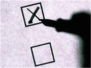 Итоги выборов: ЦИК назвала три самых проблемных округа