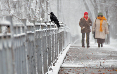 Температурный перепады ударят по здоровью киевлян