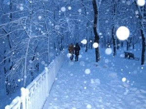 В Украине на Сочельник будет валить снег и похолодает
