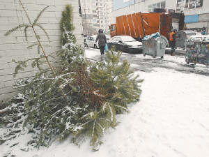Киев будут обогревать новогодними елками 