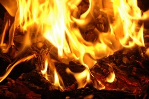 Четверо детей сгорели в Житомирской области
