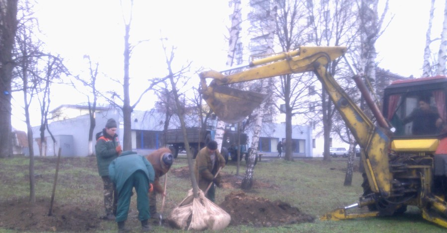 В Киеве вовсю высаживают деревья