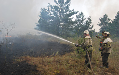 Лесной пожар на Днепропетровщине тушили 7 часов