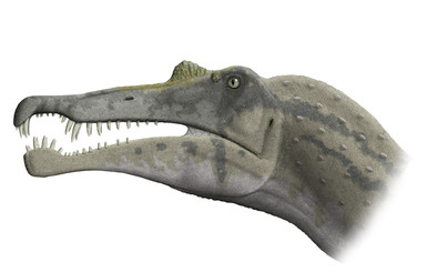 Ученые: Спинозавр умел плавать и ел акул
