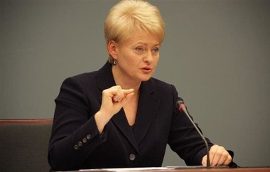 Президент Литвы: Россия боится признать свое участие в конфликте на востоке Украины