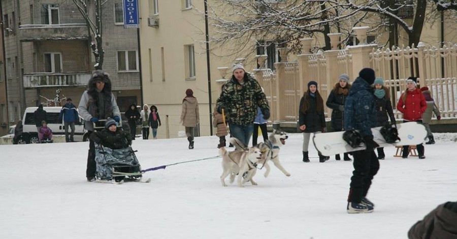 По улицам Львова горожане катаются в собачьих упряжках