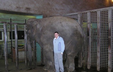 Сотрудник харьковского зоопарка, оставшийся без руки, постоянно звонит слонихе Тенди