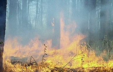 В Киевской области ожидается чрезвычайный уровень пожарной опасности