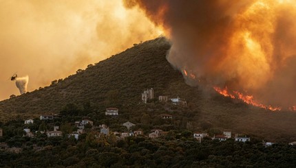 В Греции вспыхнул масштабный лесной пожар