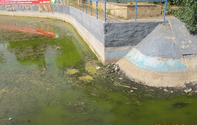 В Киеве чистят озеро в парке 