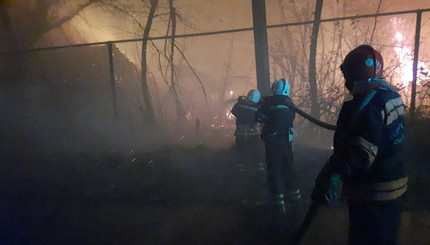 Горят леса и дома: пожар в Луганской области тушат больше тысячи человек