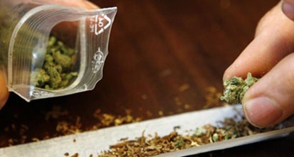 В Канаде открыли факультет по выращиванию марихуаны