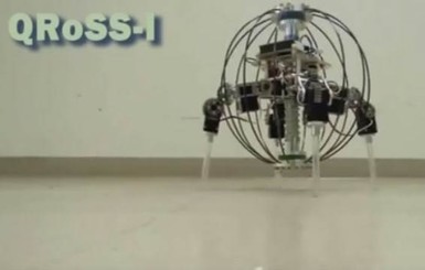 Японцы создали уникального шагающего робота