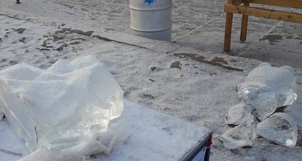 Обыкновенный вандализм: как в Житомире обошлись с ледяными скульптурами
