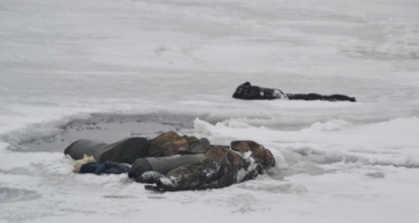 В Киеве двое парней провалились под лед