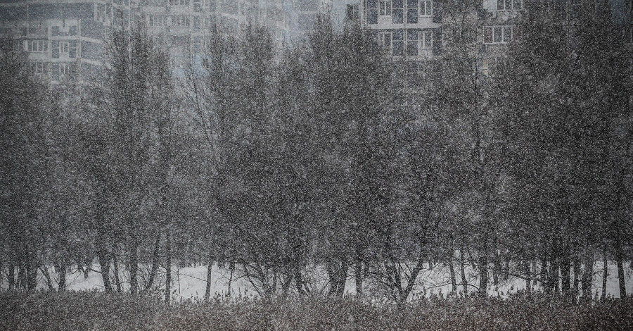 В Донецкой области насмерть замерзли 12 человек