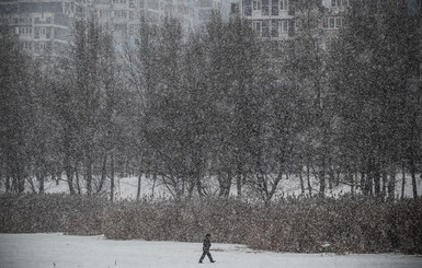 В Донецкой области насмерть замерзли 12 человек