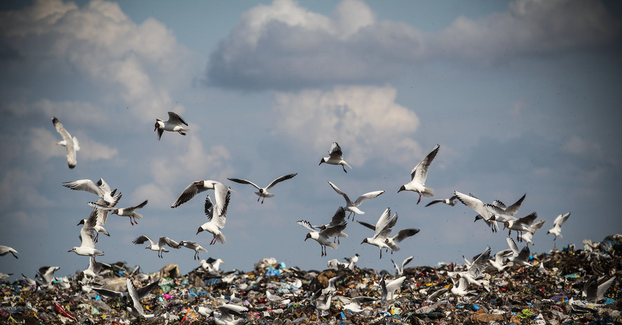Как работает мусорный полигон под Киевом