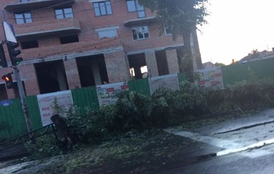 По Луцку пронесся мощный ураган: ветер сносил крыши и ломал деревья