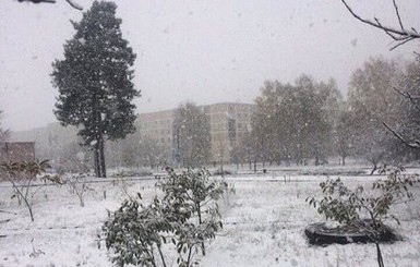 В Славутиче выпал снег