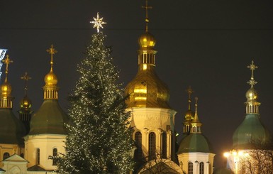Лучшие елки страны: самая высокая в Харькове, самая 