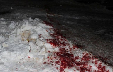 В Житомирской и Ровненской области неизвестные устроили кровавые 