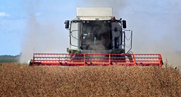 Украина собрала рекордный за четверть века урожай зерна  