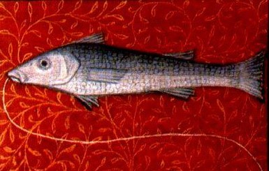 Подробный гороскоп на 2017 год для Рыб