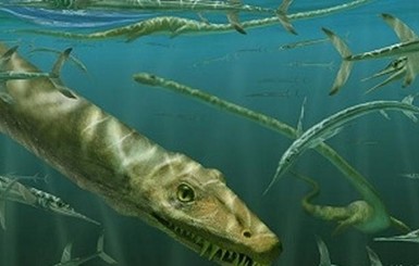 В Китае нашли древние останки беременного динозавра