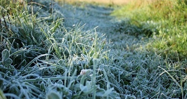 Завтра, 15 апреля, лишь в западных и Житомирской областях заморозки на почве