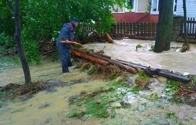 В Украине из-за урагана без света остается  121 населенный пункт