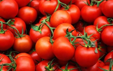 Как мариновать помидоры на зиму: полезные советы