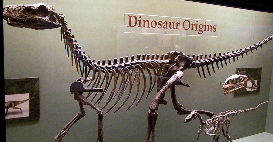 На аукционе в Париже неизвестный купил два скелета динозавров за 2 миллиона долларов