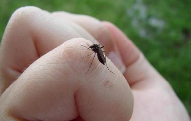 На Харьковщине комар заразил женщину глистами