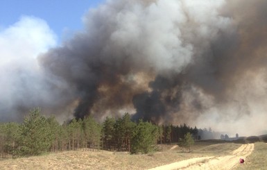 Пожар в лесу Херсонской области потушили
