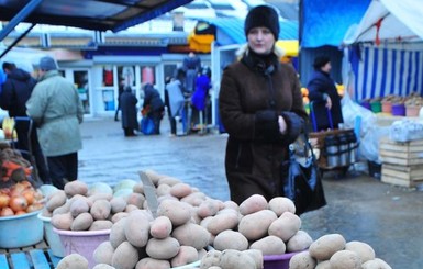 Два урожая картошки – что позволяет новый климат выращивать в Украине