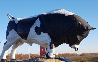 Днепровскому быку из бетона – 40 лет: хвост, рога и кольцо в нос делали 