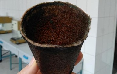 Стаканчик для кофе сделали из… кофе