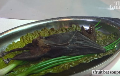 Салат с летучей мышью, вино, настоянное на мышах: в США открыли музей отвратительной еды